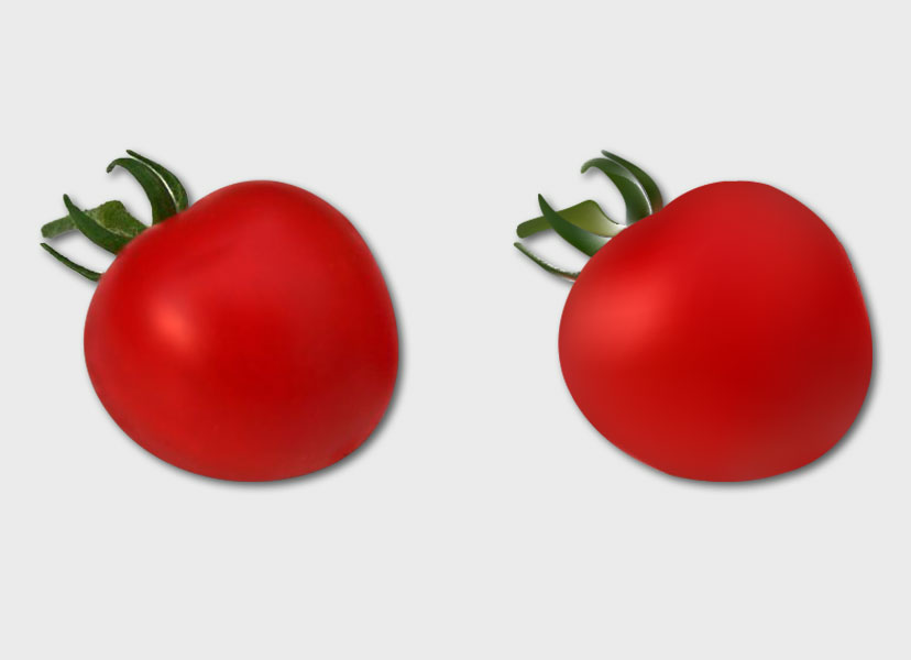 task-gradient mesh